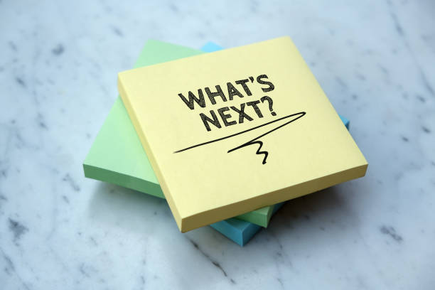 Projects starting in November!